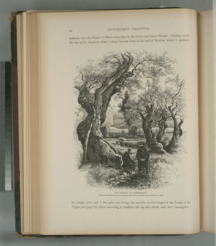 An illustration from Picturesque Palestine, Sinai and Egypt, 1881, leaf 56