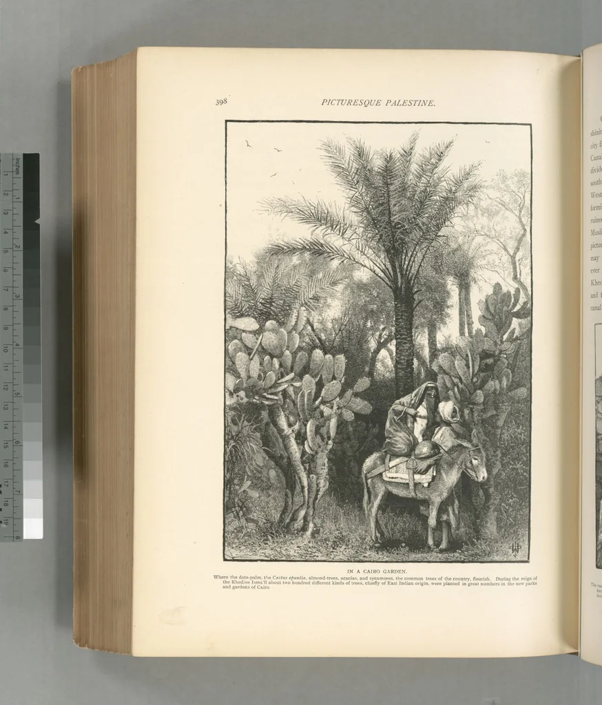 An illustration from Picturesque Palestine, Sinai and Egypt, 1881, leaf 573