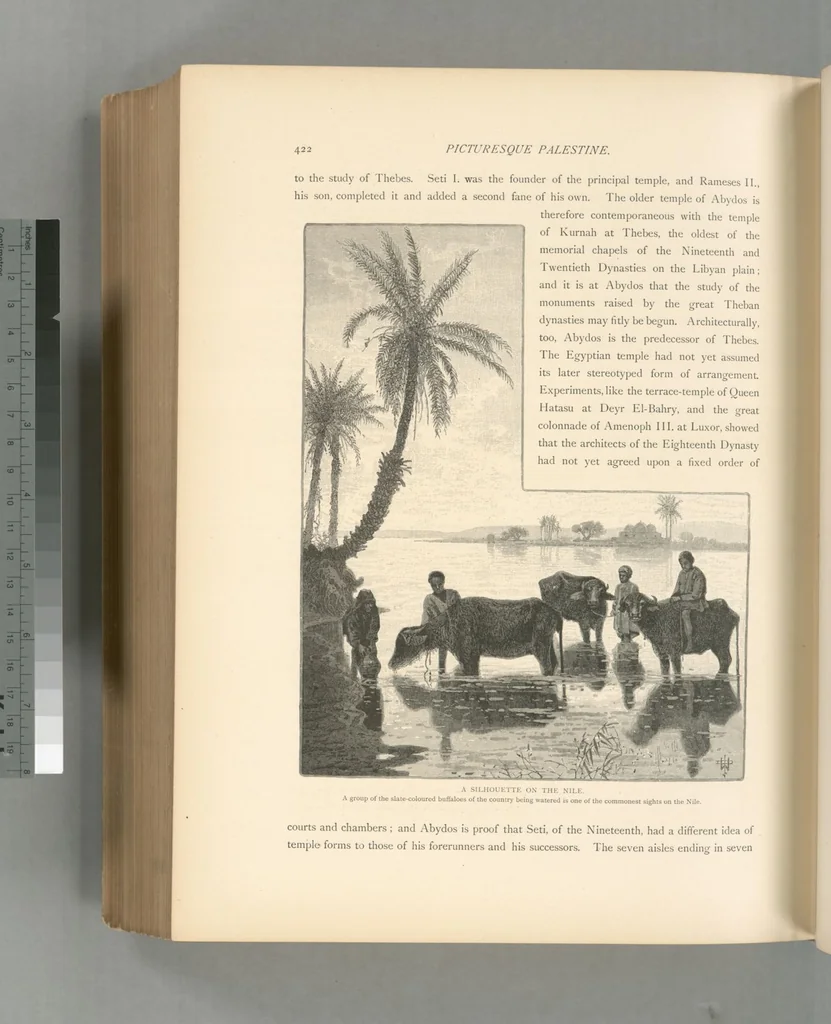 An illustration from Picturesque Palestine, Sinai and Egypt, 1881, leaf 588