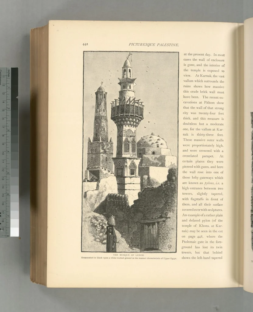 An illustration from Picturesque Palestine, Sinai and Egypt, 1881, leaf 599