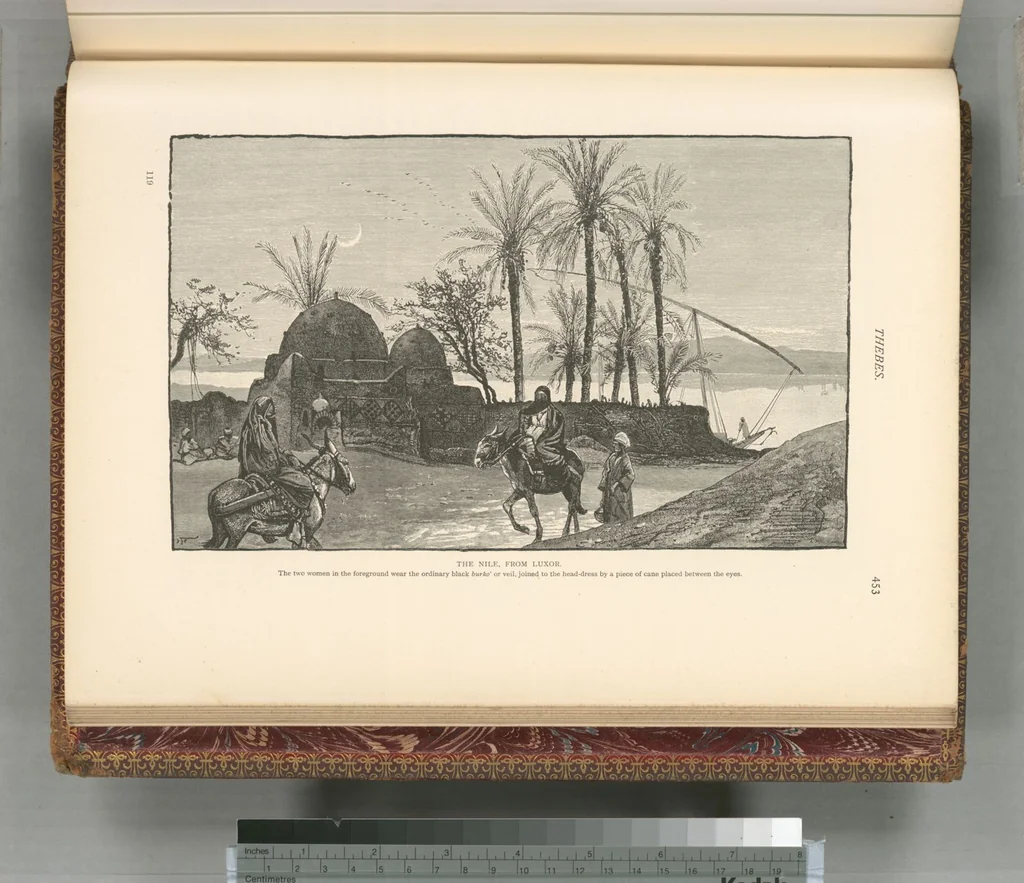 An illustration from Picturesque Palestine, Sinai and Egypt, 1881, leaf 608