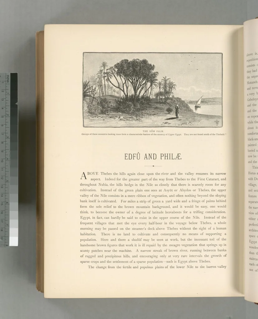 An illustration from Picturesque Palestine, Sinai and Egypt, 1881, leaf 609