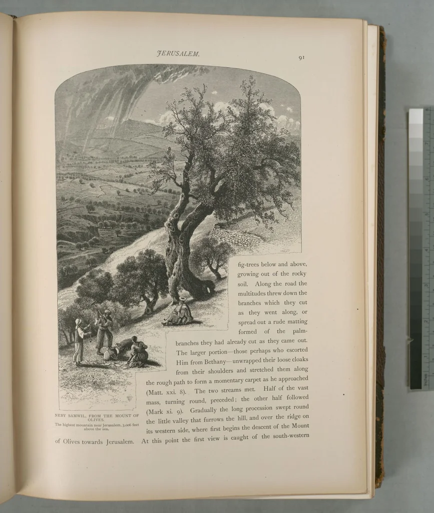 An illustration from Picturesque Palestine, Sinai and Egypt, 1881, leaf 61