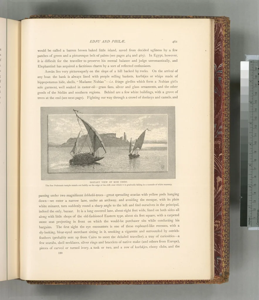 An illustration from Picturesque Palestine, Sinai and Egypt, 1881, leaf 614