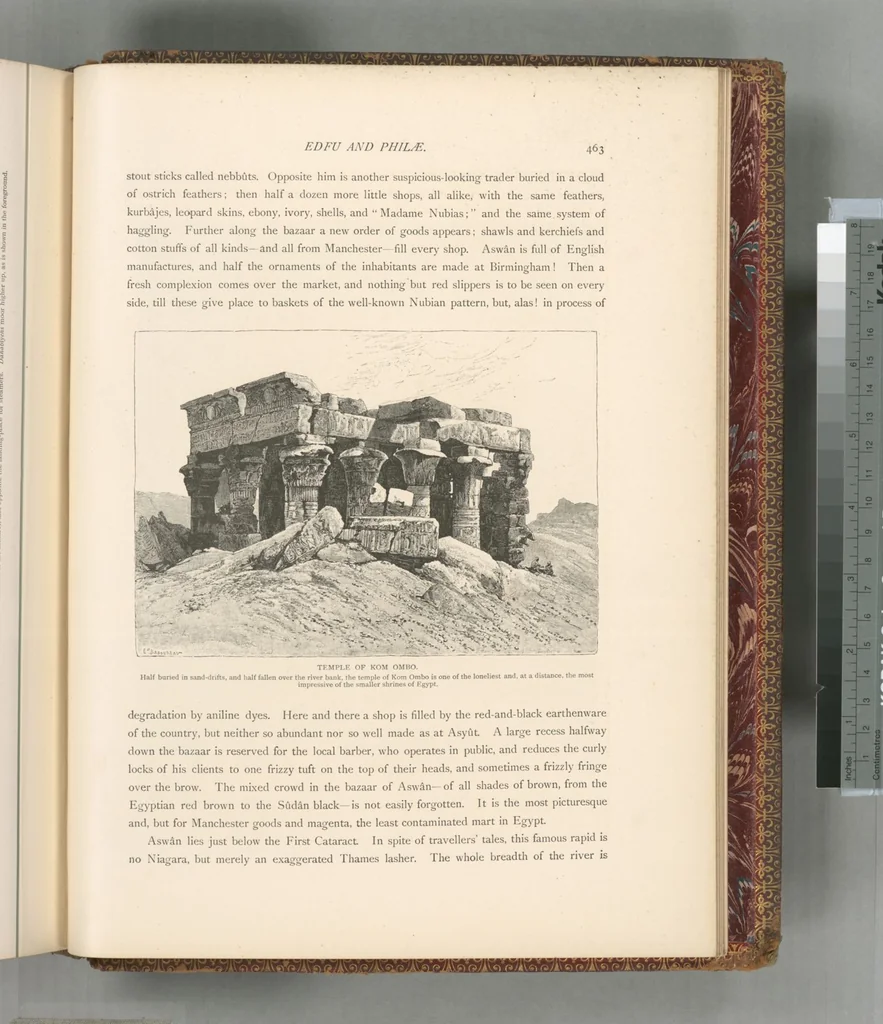 An illustration from Picturesque Palestine, Sinai and Egypt, 1881, leaf 616