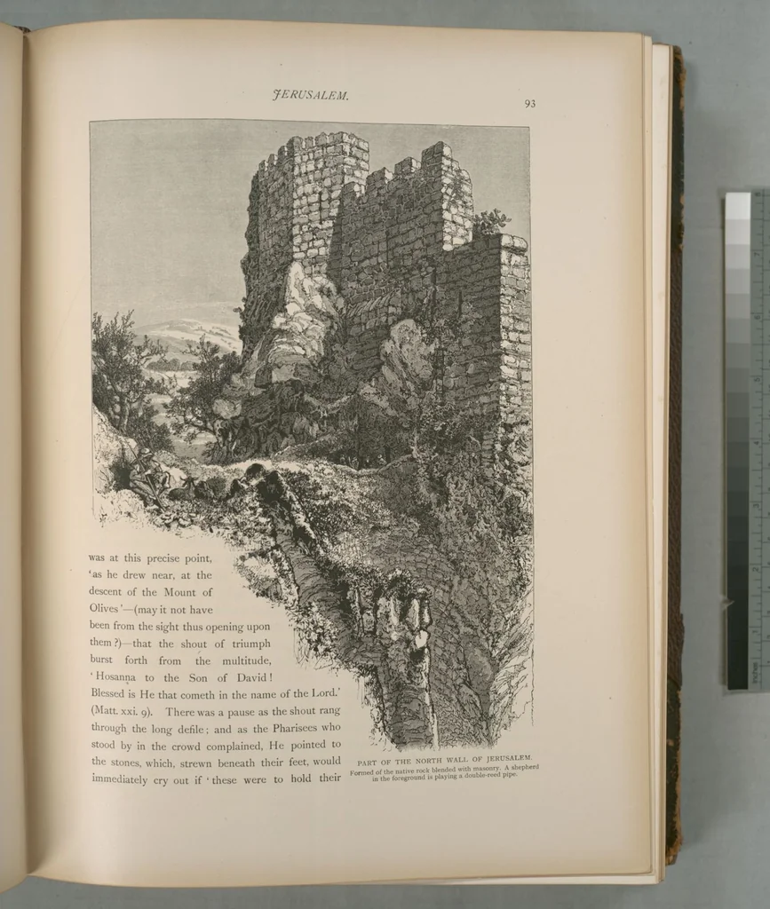 An illustration from Picturesque Palestine, Sinai and Egypt, 1881, leaf 63