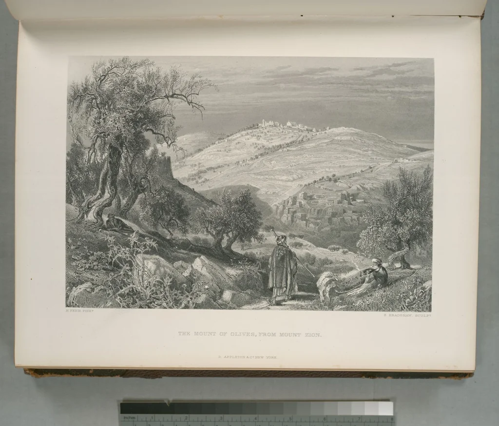 An illustration from Picturesque Palestine, Sinai and Egypt, 1881, leaf 66