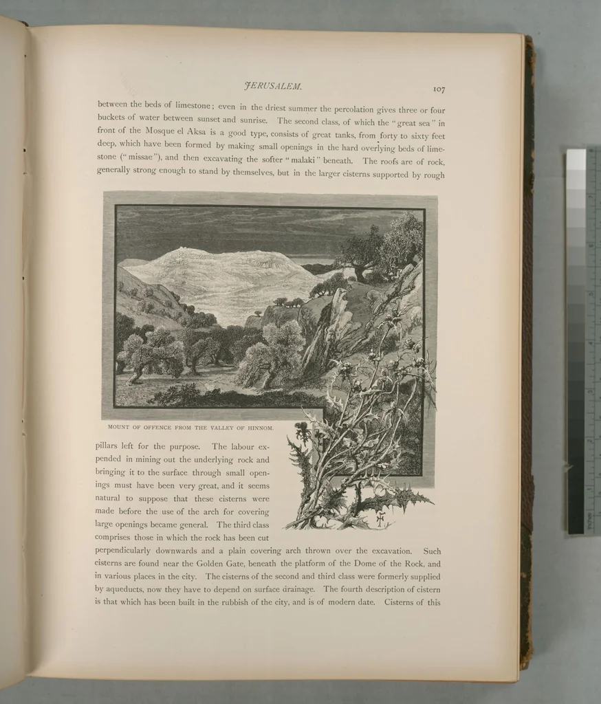 An illustration from Picturesque Palestine, Sinai and Egypt, 1881, leaf 73