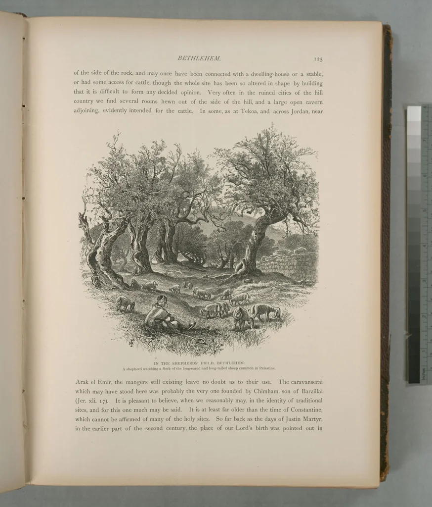 An illustration from Picturesque Palestine, Sinai and Egypt, 1881, leaf 84