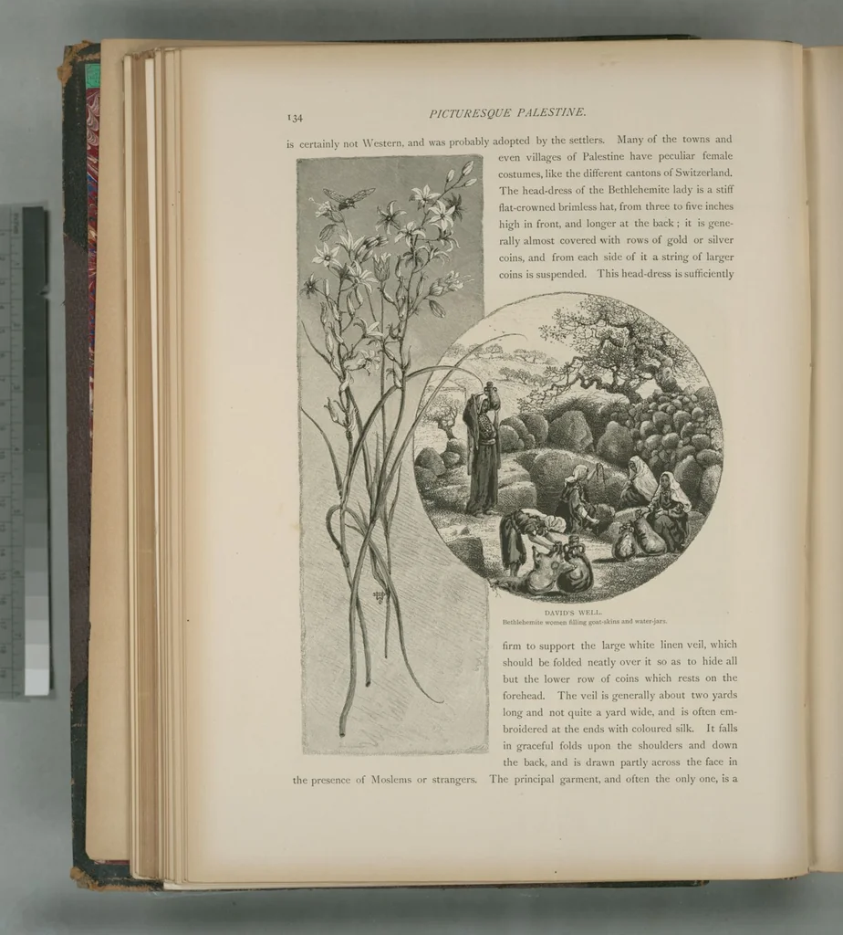 An illustration from Picturesque Palestine, Sinai and Egypt, 1881, leaf 91