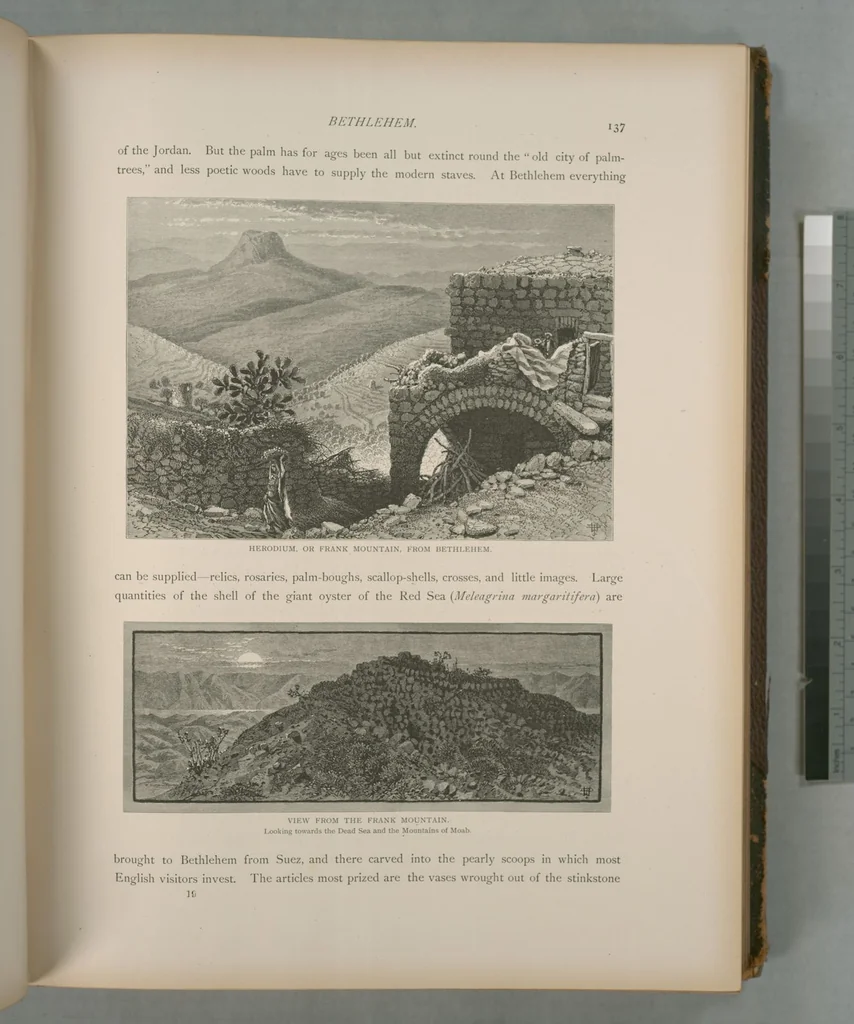 An illustration from Picturesque Palestine, Sinai and Egypt, 1881, leaf 93