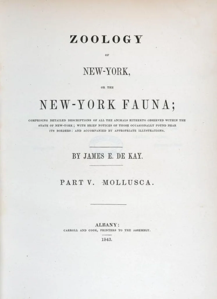 An illustration from Zoology of New York; or, The New York fauna [Series: Natural history of New York], 1842, leaf 281