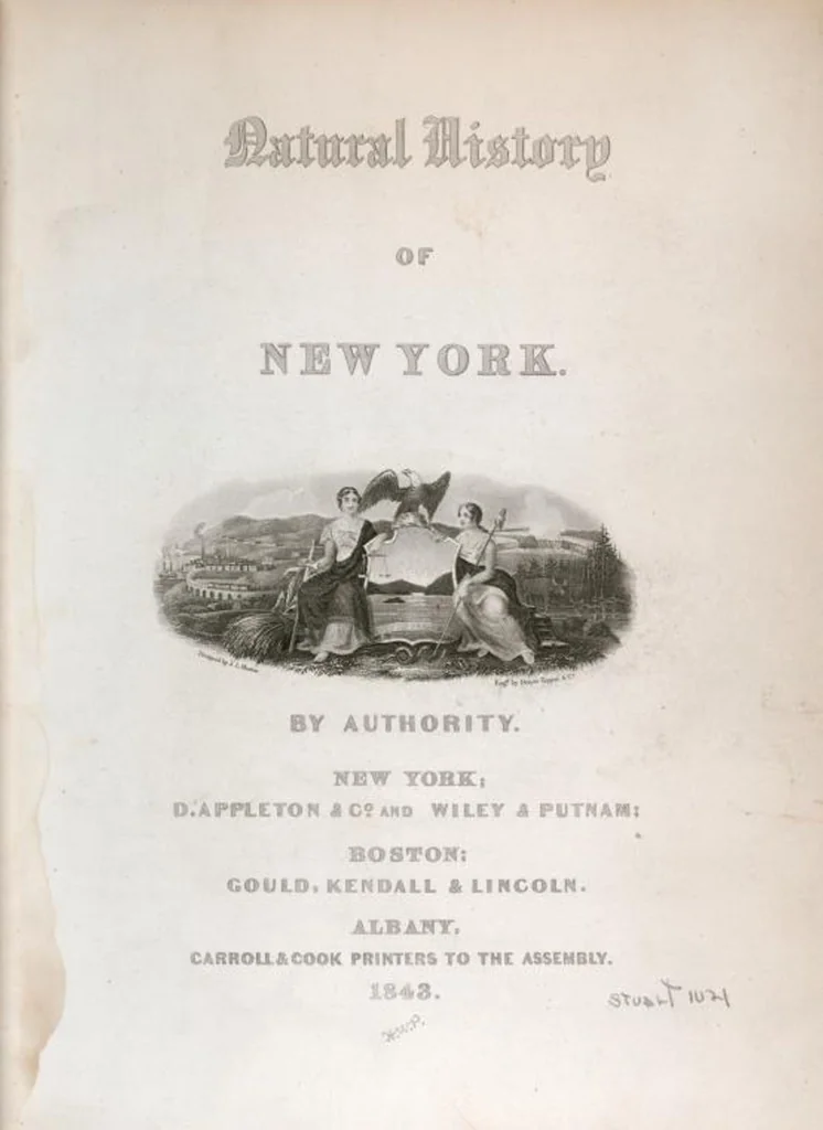 An illustration from Zoology of New York; or, The New York fauna [Series: Natural history of New York], 1842, leaf 35