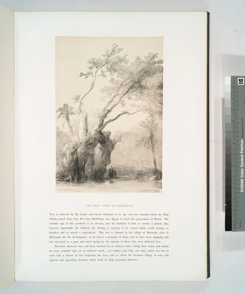 An illustration from The Holy Land, Syria, Idumea, Arabia, Egypt and Nubia. From drawings made on the spot by David Roberts ... With historical descriptions by the Revd. George Croly ... Lithographed by Louis Haghe, 1842, leaf 229