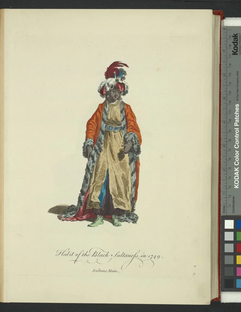 An illustration from Recueil des habillements de différentes nations, 1757, leaf 12
