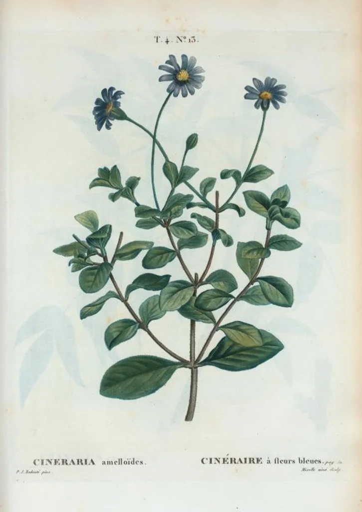 An illustration from Nouveau Duhamel, 1801, leaf 210
