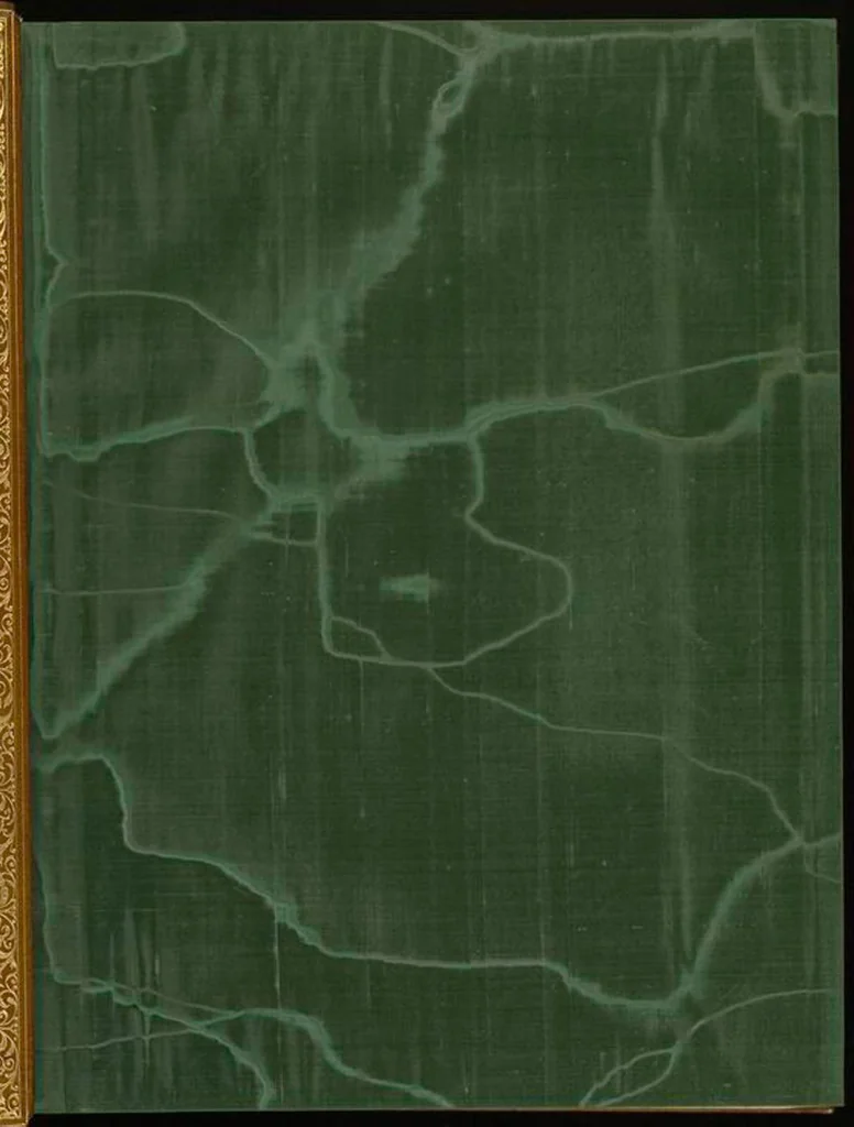 An illustration from Bookbinding : books bequeathed by William Augustus Spencer, 1880, leaf 274