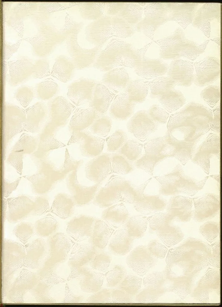 An illustration from Bookbinding : books bequeathed by William Augustus Spencer, 1880, leaf 358