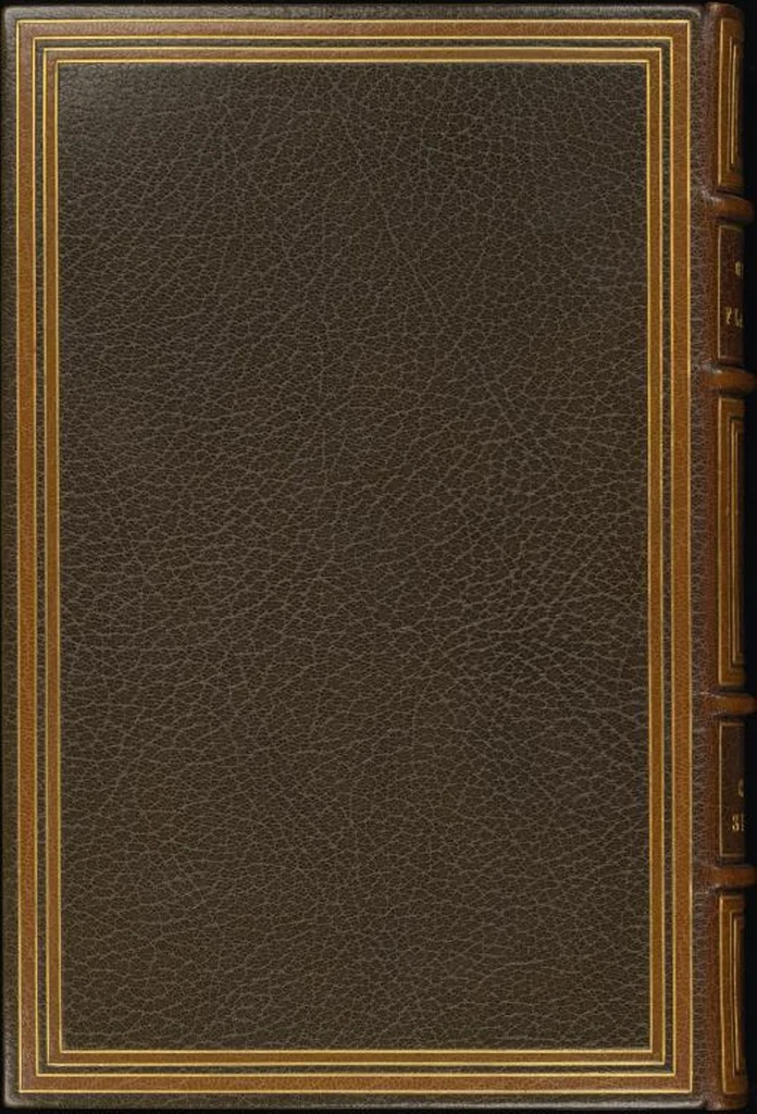 An illustration from Bookbinding : books bequeathed by William Augustus Spencer, 1880, leaf 550
