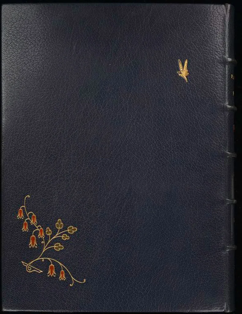An illustration from Bookbinding : books bequeathed by William Augustus Spencer, 1880, leaf 661