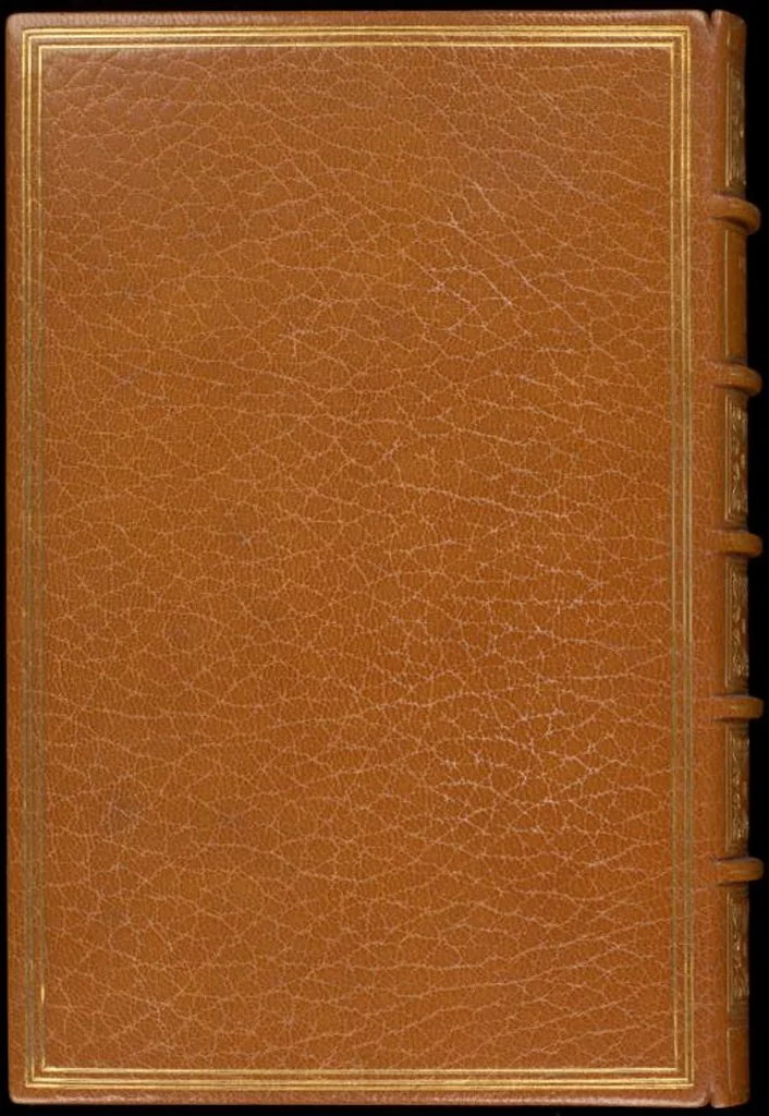An illustration from Bookbinding : books bequeathed by William Augustus Spencer, 1880, leaf 699