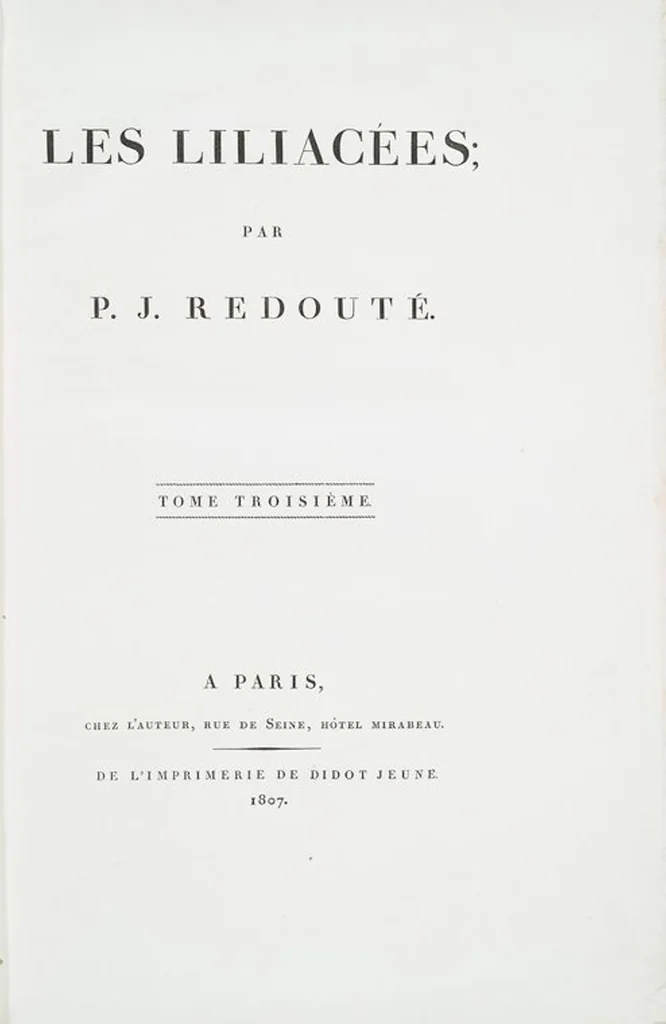 An illustration from Les liliacées, 1805, leaf 124
