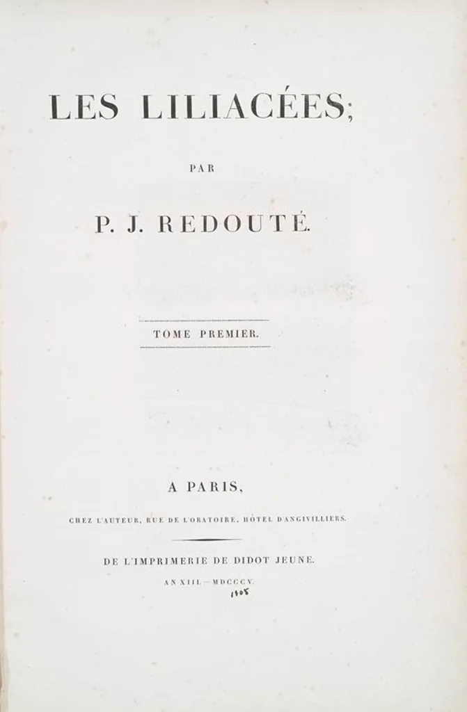 An illustration from Les liliacées, 1805, leaf 2