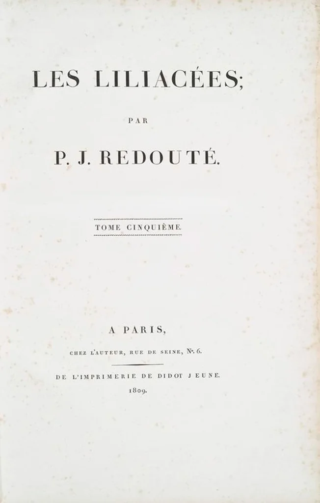 An illustration from Les liliacées, 1805, leaf 246