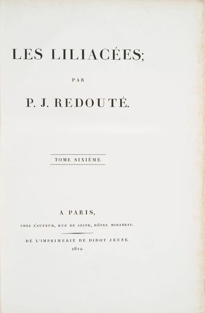 An illustration from Les liliacées, 1805, leaf 307