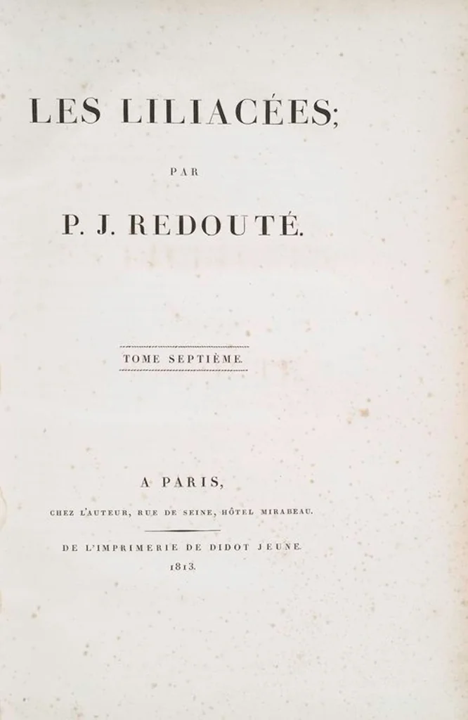 An illustration from Les liliacées, 1805, leaf 368