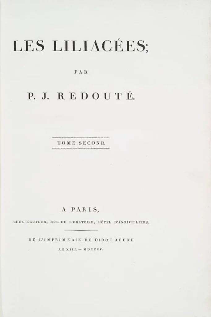 An illustration from Les liliacées, 1805, leaf 63