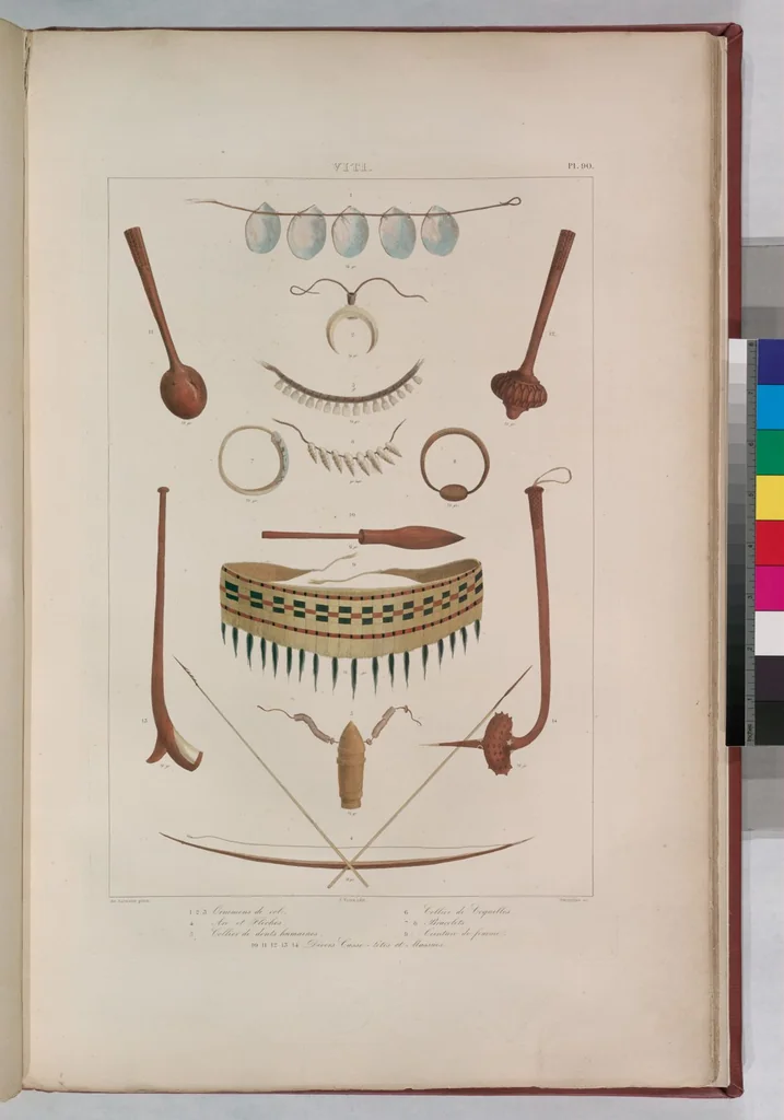 An illustration from Voyage de la corvette l'Astrolabe exécuté par ordre du roi, pendant les années 1826-1827-1828-1829, sous le commandement de M. J. Dumont d'Urville, 1830, leaf 100