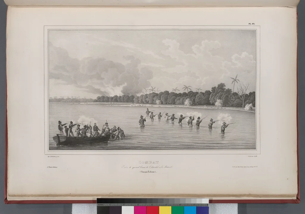An illustration from Voyage de la corvette l'Astrolabe exécuté par ordre du roi, pendant les années 1826-1827-1828-1829, sous le commandement de M. J. Dumont d'Urville, 1830, leaf 102