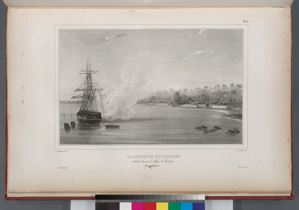 An illustration from Voyage de la corvette l'Astrolabe exécuté par ordre du roi, pendant les années 1826-1827-1828-1829, sous le commandement de M. J. Dumont d'Urville, 1830, leaf 103