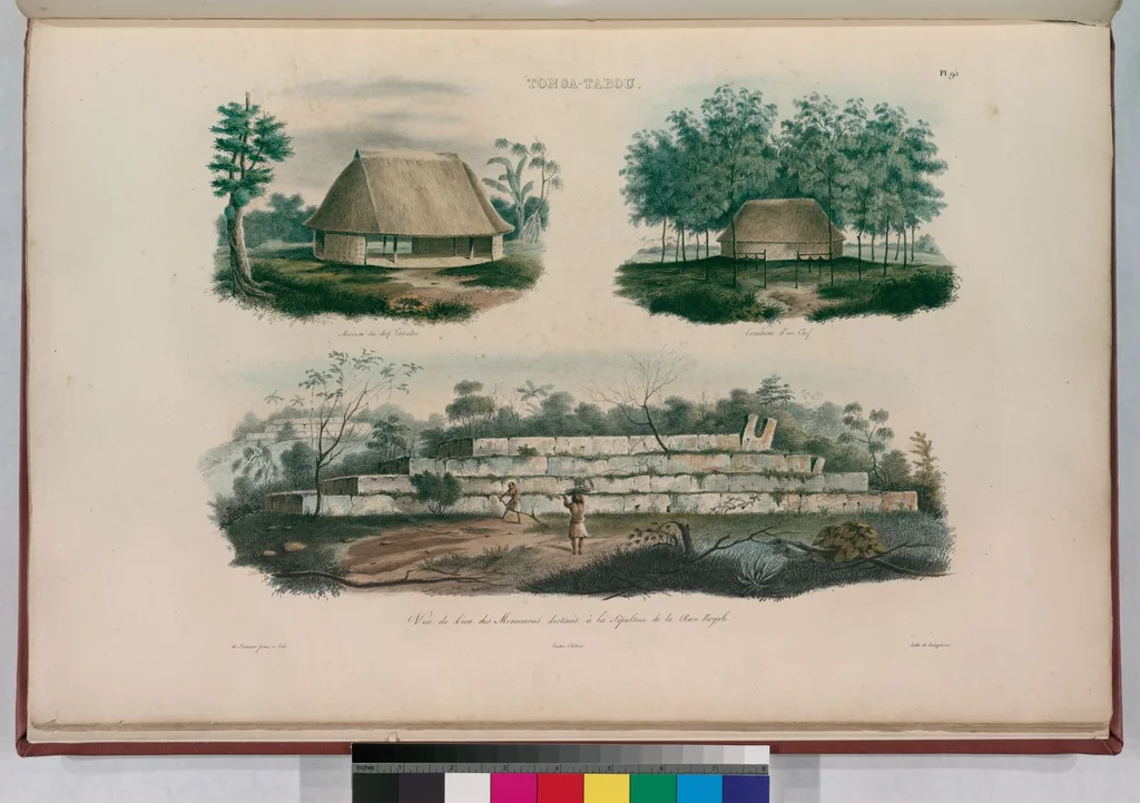 An illustration from Voyage de la corvette l'Astrolabe exécuté par ordre du roi, pendant les années 1826-1827-1828-1829, sous le commandement de M. J. Dumont d'Urville, 1830, leaf 105