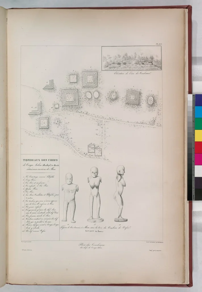 An illustration from Voyage de la corvette l'Astrolabe exécuté par ordre du roi, pendant les années 1826-1827-1828-1829, sous le commandement de M. J. Dumont d'Urville, 1830, leaf 111