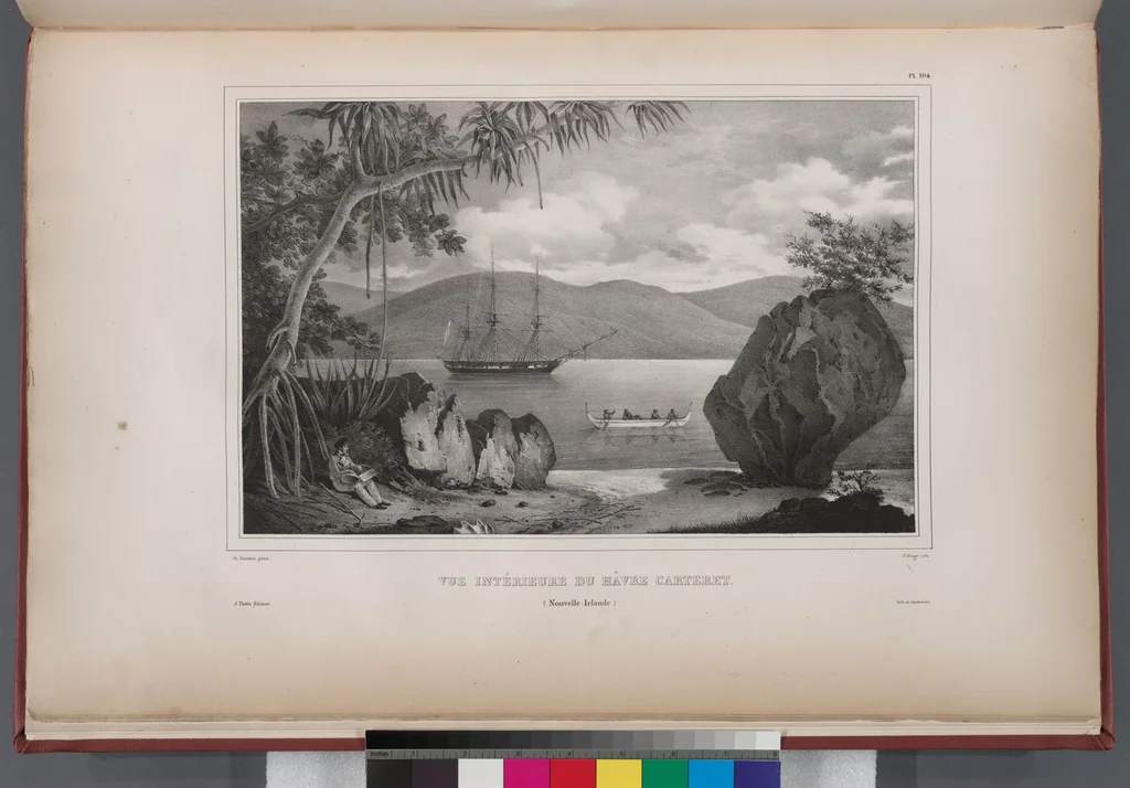 An illustration from Voyage de la corvette l'Astrolabe exécuté par ordre du roi, pendant les années 1826-1827-1828-1829, sous le commandement de M. J. Dumont d'Urville, 1830, leaf 114