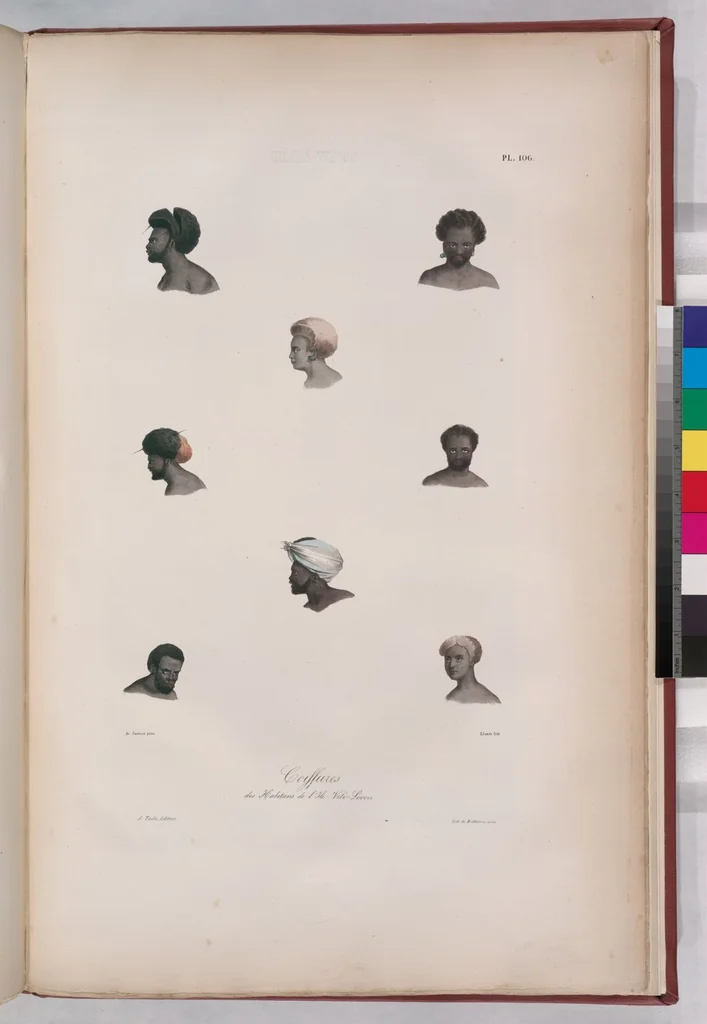 An illustration from Voyage de la corvette l'Astrolabe exécuté par ordre du roi, pendant les années 1826-1827-1828-1829, sous le commandement de M. J. Dumont d'Urville, 1830, leaf 116