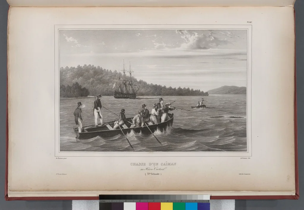 An illustration from Voyage de la corvette l'Astrolabe exécuté par ordre du roi, pendant les années 1826-1827-1828-1829, sous le commandement de M. J. Dumont d'Urville, 1830, leaf 117