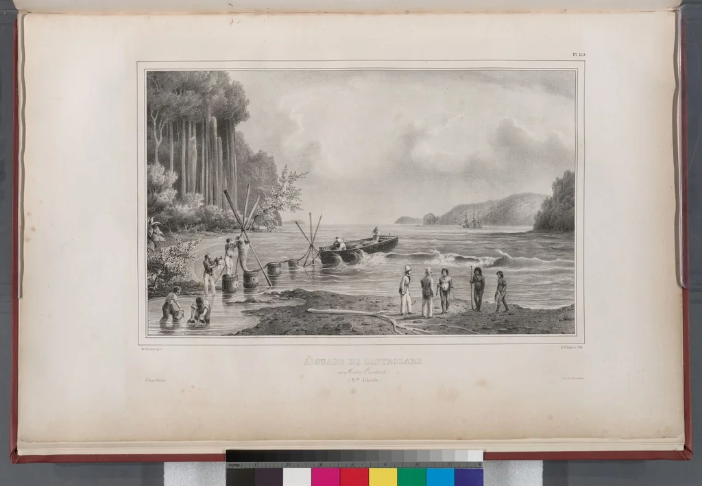 An illustration from Voyage de la corvette l'Astrolabe exécuté par ordre du roi, pendant les années 1826-1827-1828-1829, sous le commandement de M. J. Dumont d'Urville, 1830, leaf 120