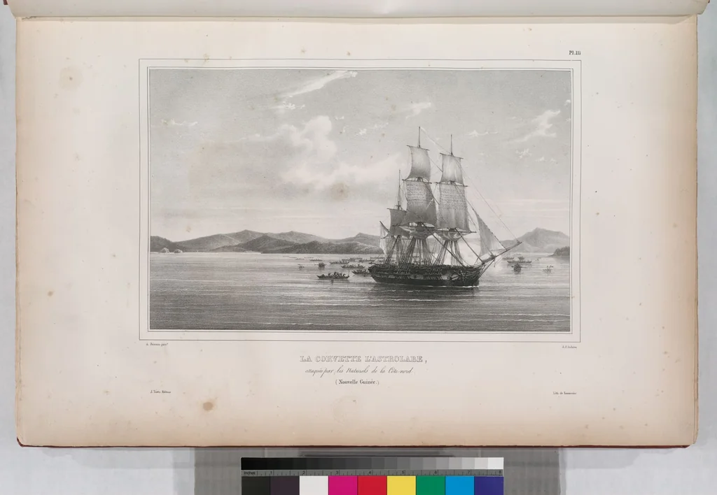 An illustration from Voyage de la corvette l'Astrolabe exécuté par ordre du roi, pendant les années 1826-1827-1828-1829, sous le commandement de M. J. Dumont d'Urville, 1830, leaf 121