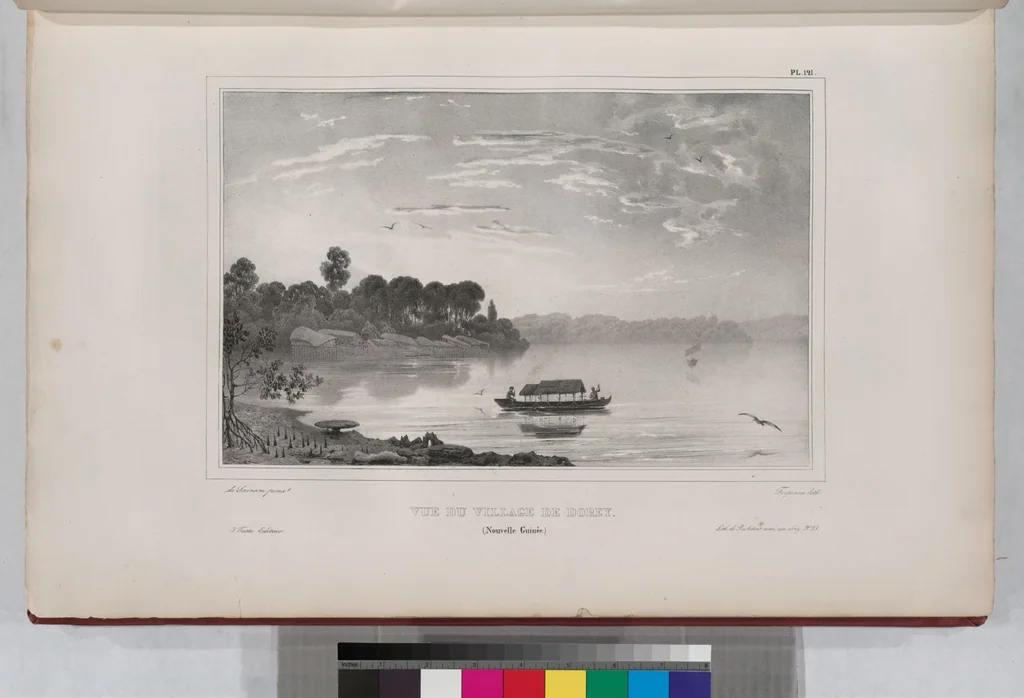 An illustration from Voyage de la corvette l'Astrolabe exécuté par ordre du roi, pendant les années 1826-1827-1828-1829, sous le commandement de M. J. Dumont d'Urville, 1830, leaf 131