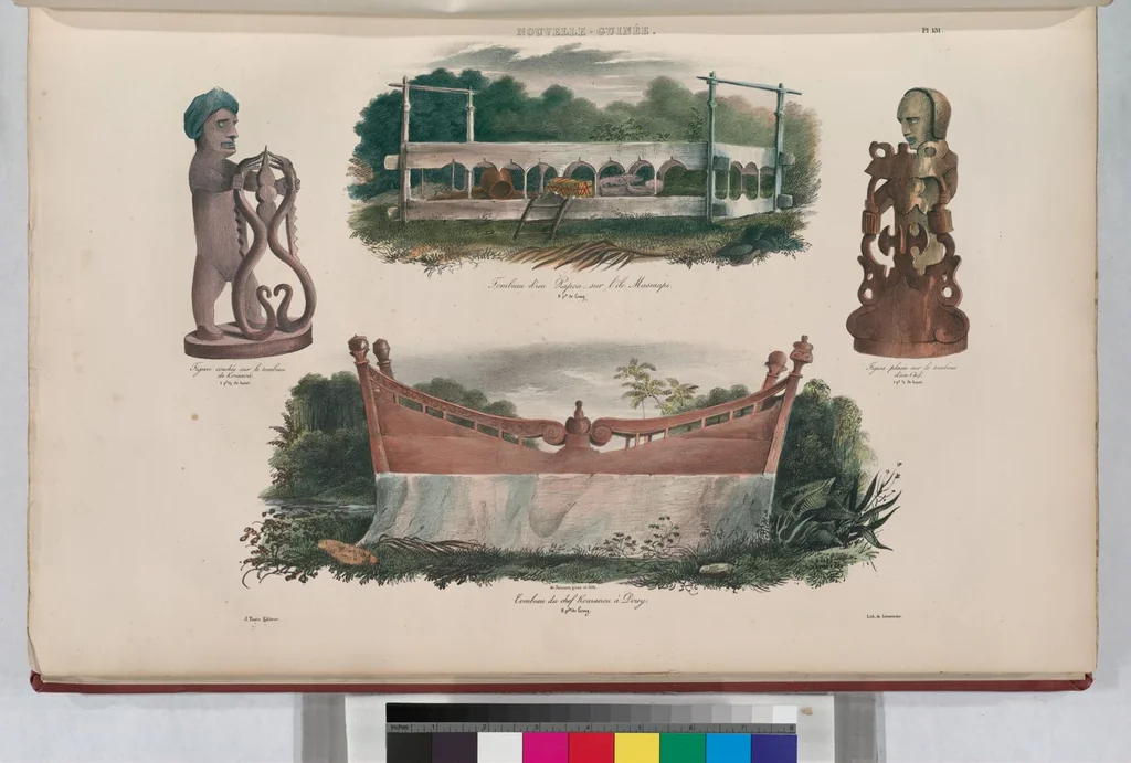 An illustration from Voyage de la corvette l'Astrolabe exécuté par ordre du roi, pendant les années 1826-1827-1828-1829, sous le commandement de M. J. Dumont d'Urville, 1830, leaf 141