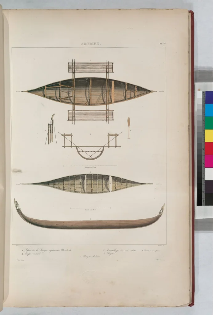 An illustration from Voyage de la corvette l'Astrolabe exécuté par ordre du roi, pendant les années 1826-1827-1828-1829, sous le commandement de M. J. Dumont d'Urville, 1830, leaf 142