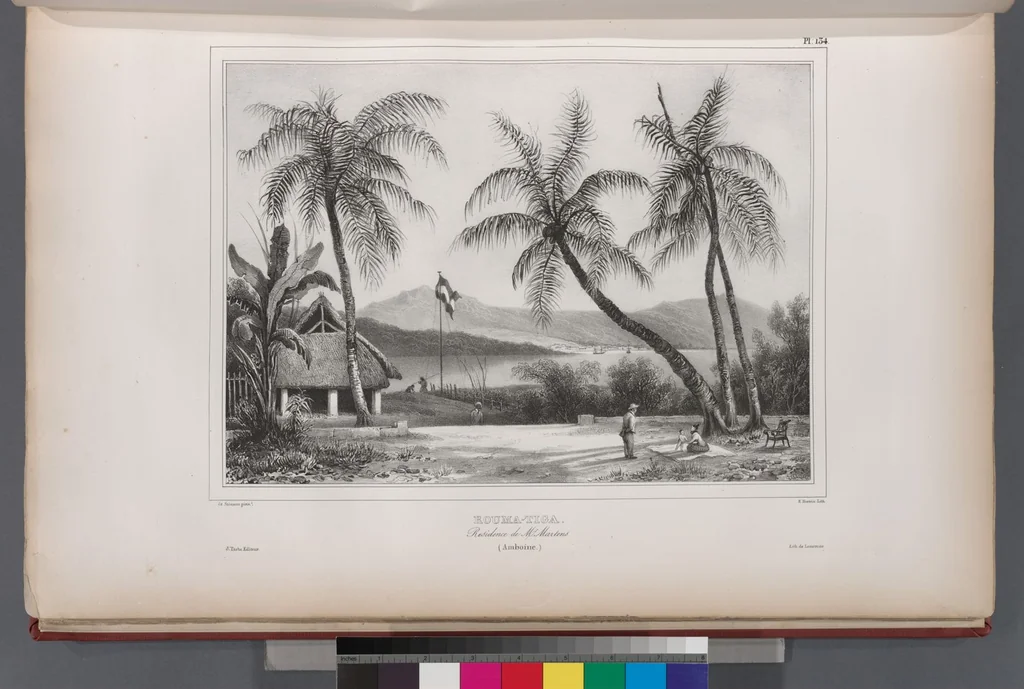 An illustration from Voyage de la corvette l'Astrolabe exécuté par ordre du roi, pendant les années 1826-1827-1828-1829, sous le commandement de M. J. Dumont d'Urville, 1830, leaf 144