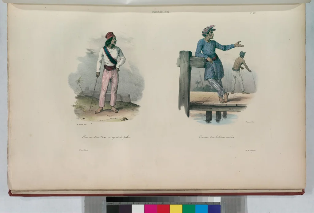 An illustration from Voyage de la corvette l'Astrolabe exécuté par ordre du roi, pendant les années 1826-1827-1828-1829, sous le commandement de M. J. Dumont d'Urville, 1830, leaf 147