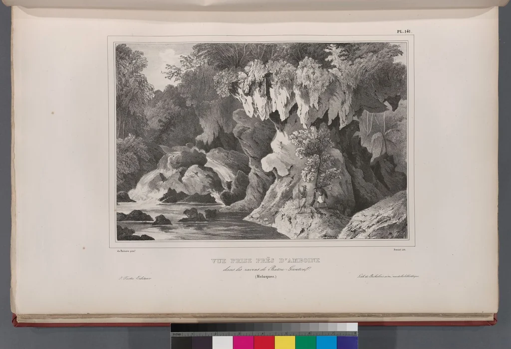 An illustration from Voyage de la corvette l'Astrolabe exécuté par ordre du roi, pendant les années 1826-1827-1828-1829, sous le commandement de M. J. Dumont d'Urville, 1830, leaf 151