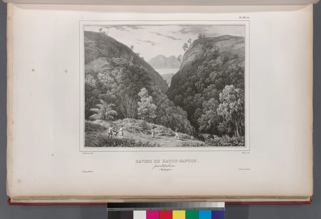 An illustration from Voyage de la corvette l'Astrolabe exécuté par ordre du roi, pendant les années 1826-1827-1828-1829, sous le commandement de M. J. Dumont d'Urville, 1830, leaf 152