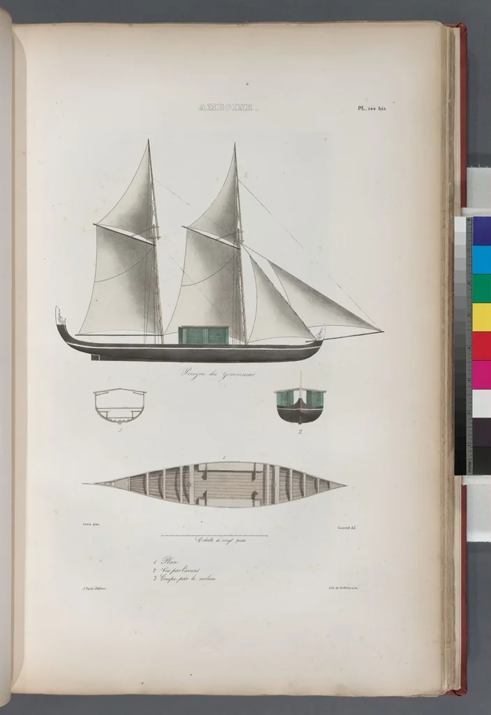 An illustration from Voyage de la corvette l'Astrolabe exécuté par ordre du roi, pendant les années 1826-1827-1828-1829, sous le commandement de M. J. Dumont d'Urville, 1830, leaf 156