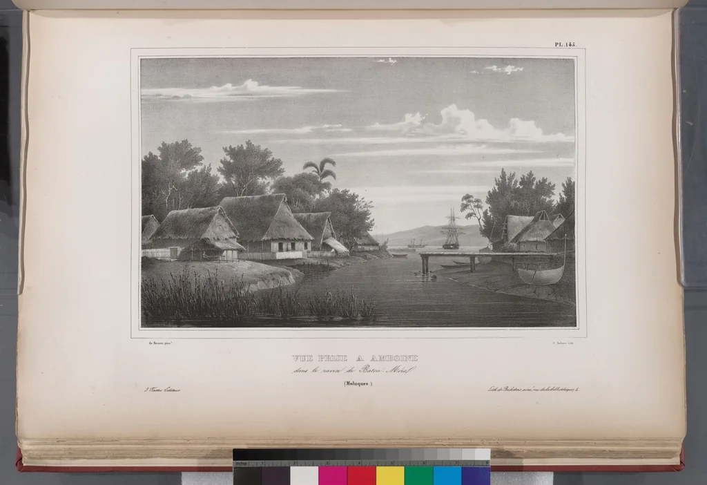 An illustration from Voyage de la corvette l'Astrolabe exécuté par ordre du roi, pendant les années 1826-1827-1828-1829, sous le commandement de M. J. Dumont d'Urville, 1830, leaf 157